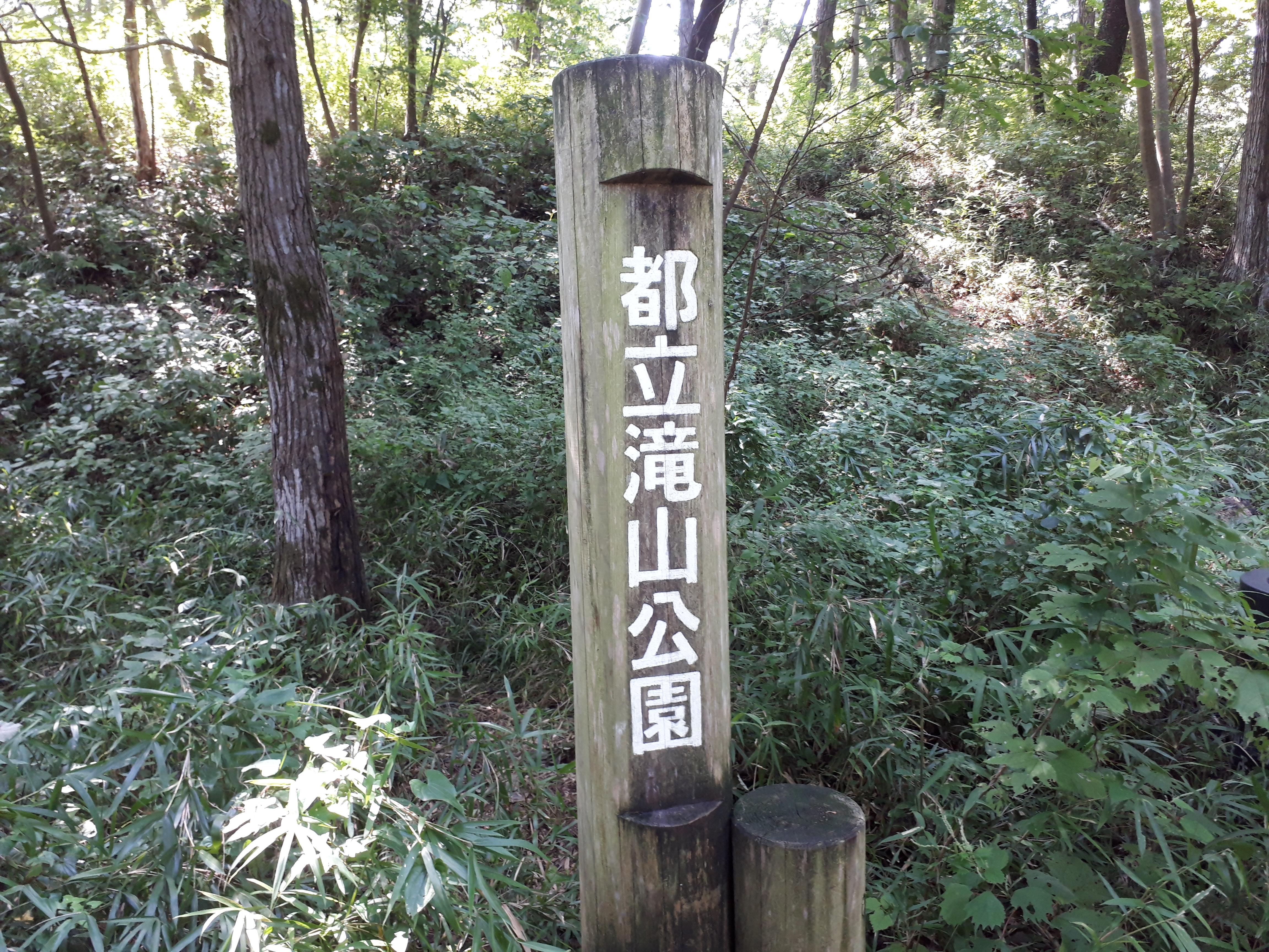 【吉岡１０人登場！？】都立滝山公園に行ってきました。