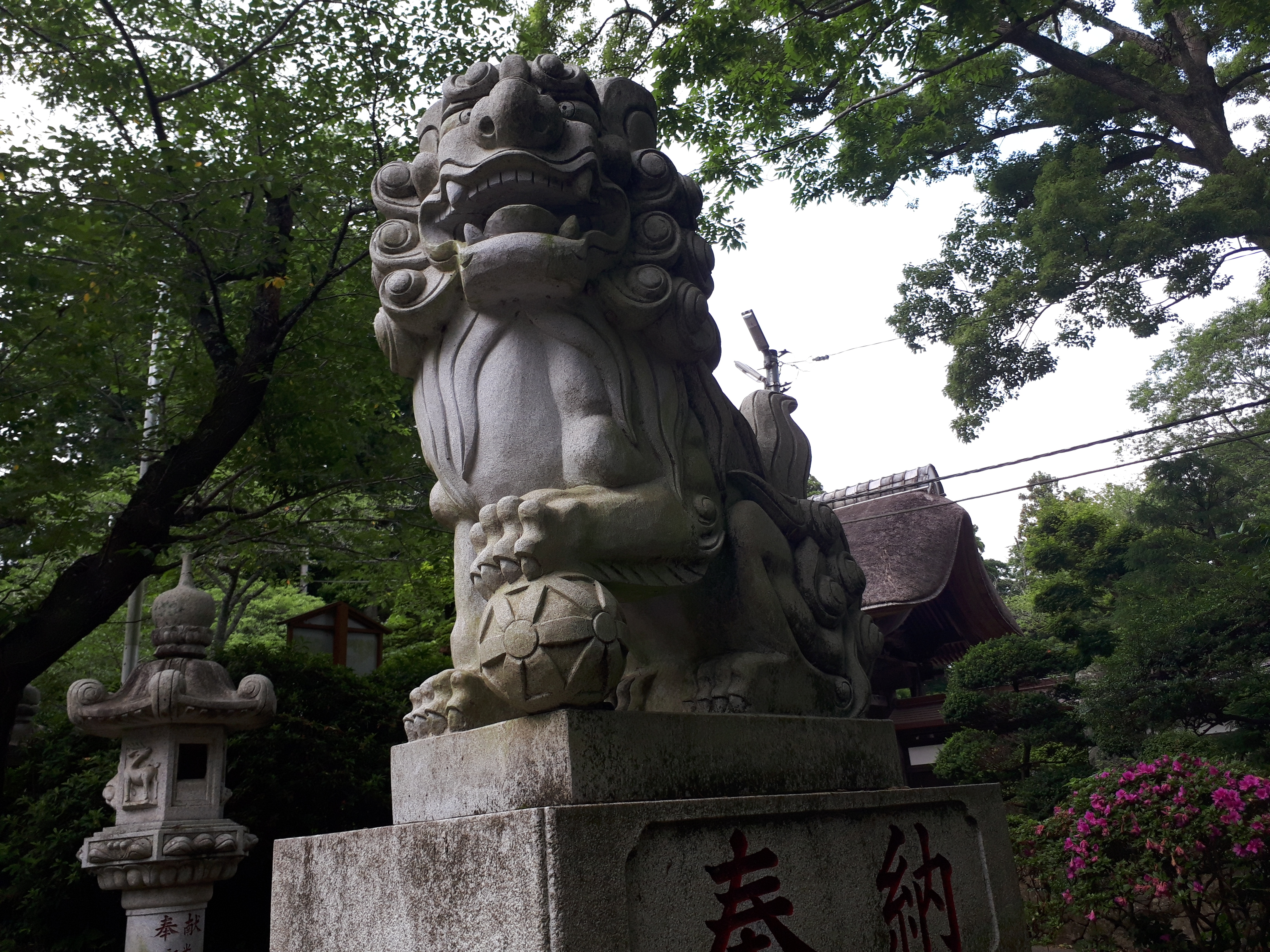 日本ってやっぱり素晴らしい国だ、って神社に行くたび思い出す。