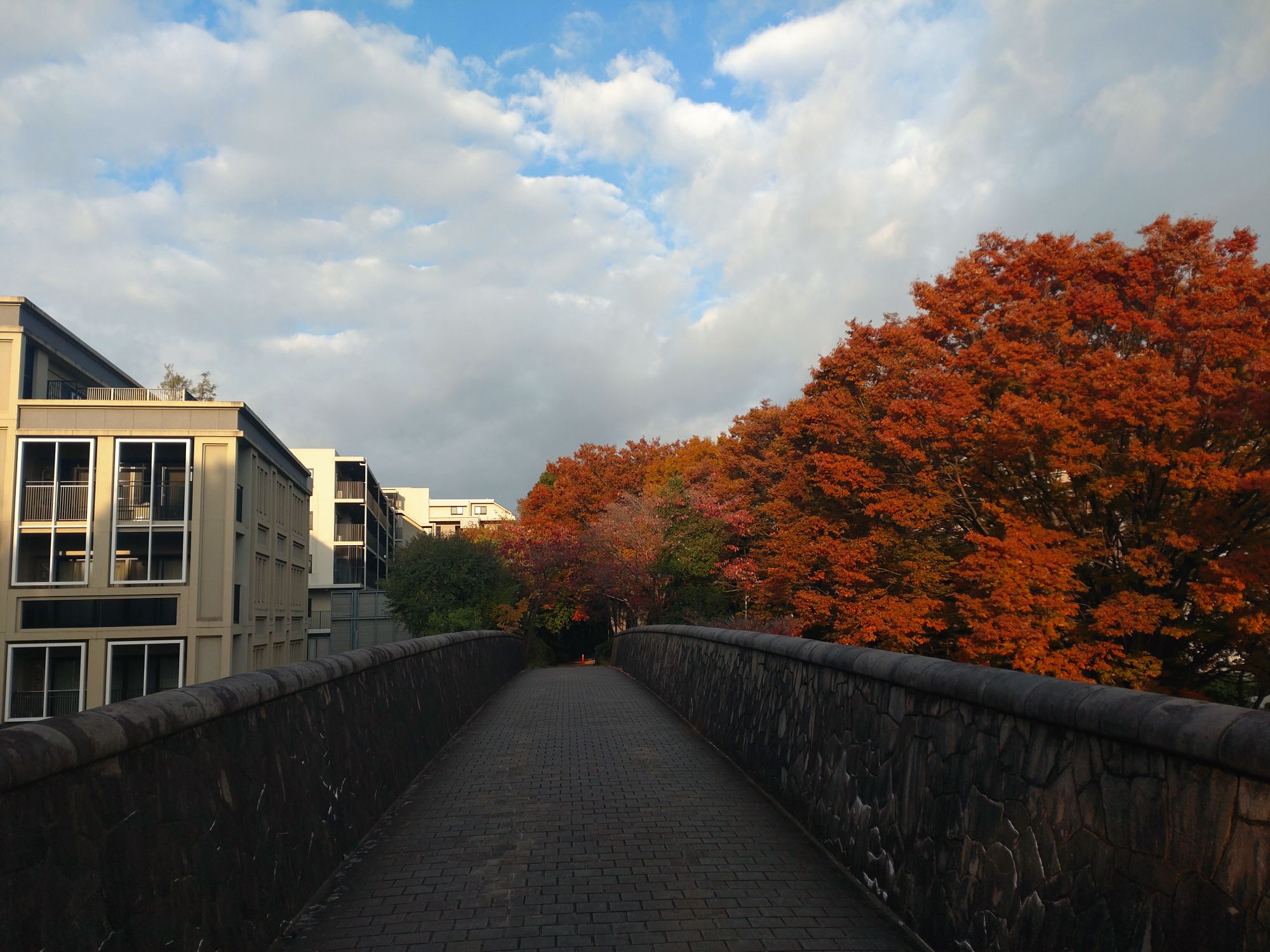 年末年始、駐車場警備のご依頼は株式会社イージスまで！！