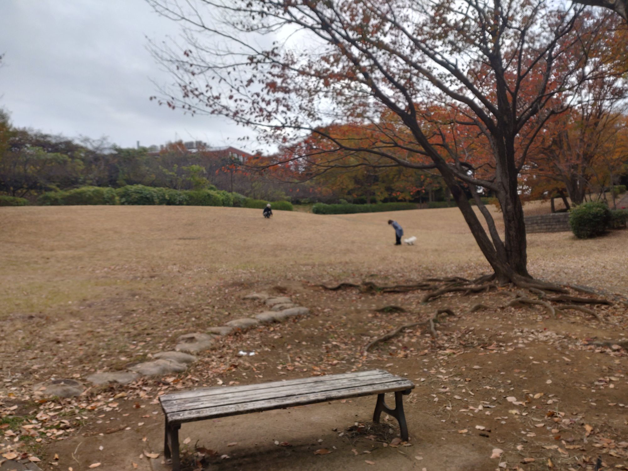 行楽シーズンは絶対遠出しないって、決めているんだ。