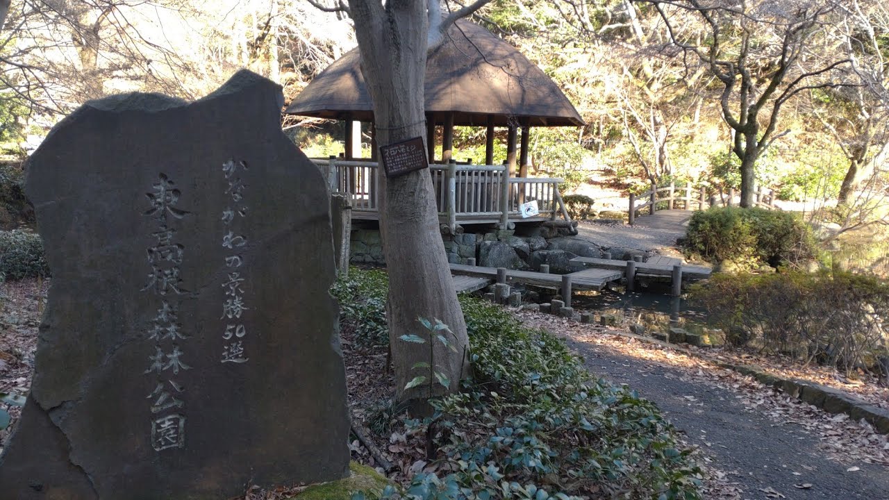 【神奈川の景勝５０選めぐり】県立・東高根森林公園